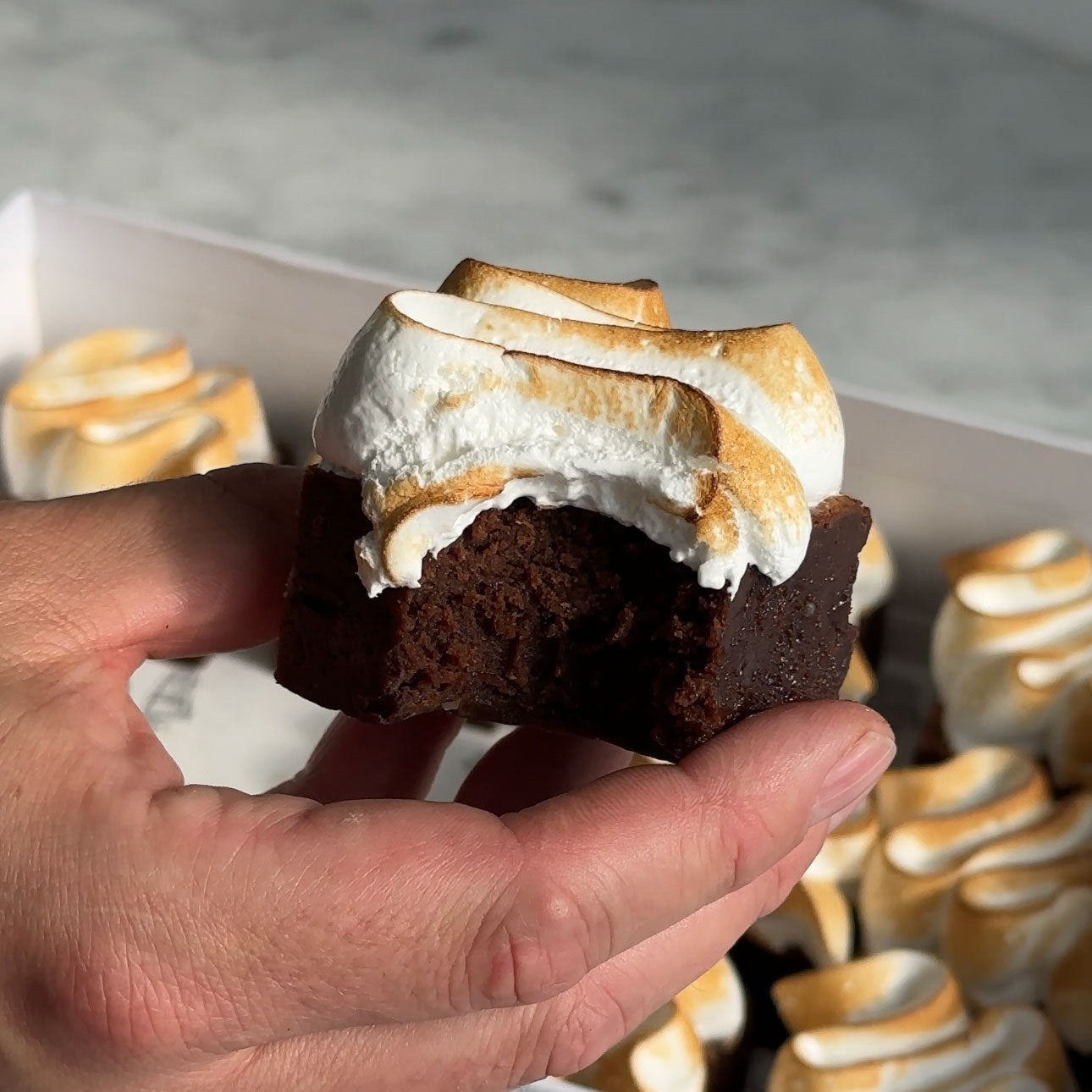 Torched Meringue Chocolate Brownie Gift Box